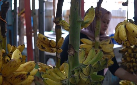 Pedagang Buah di Surabaya Ini Sukses Bangun Usaha Dengan Dukungan BMT UGT Nusantara