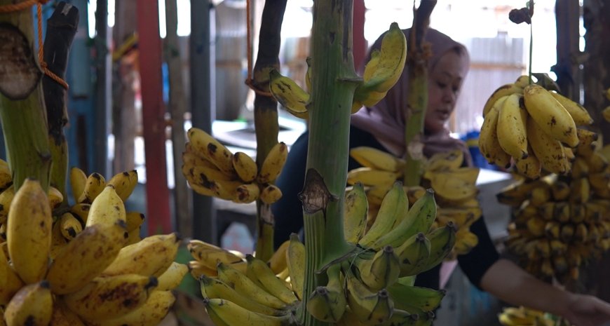 Pedagang Buah di Surabaya Ini Sukses Bangun Usaha Dengan Dukungan BMT UGT Nusantara